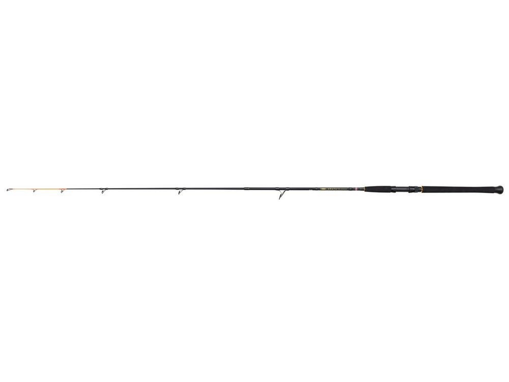 Canna Da Pesca Penn Squadron III Travel - Carbonio 24T, 4 Pezzi, 2.40 M, Lancio 15-40 G, Per Pesca Costiera
