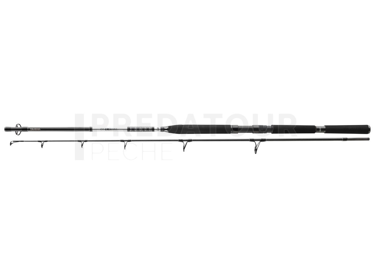 Canne à Pêche Daiwa BG Offshore Boat 2,10m Ou 2,40m - Idéale Cabillaud, Carquois, Flétan - Pêche En Mer