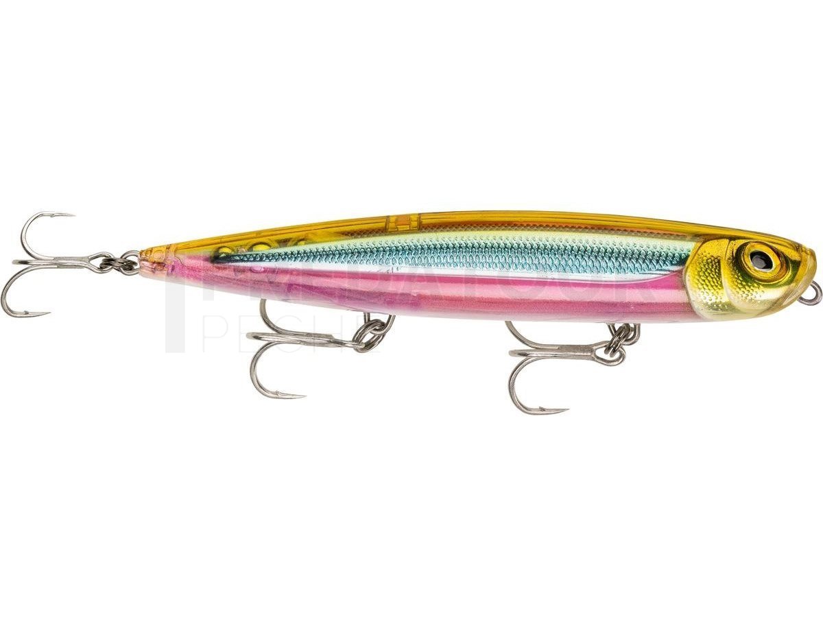 Rapala Precision Xtreme Pencil Saltwater - Leurres mer - Magasin de ...