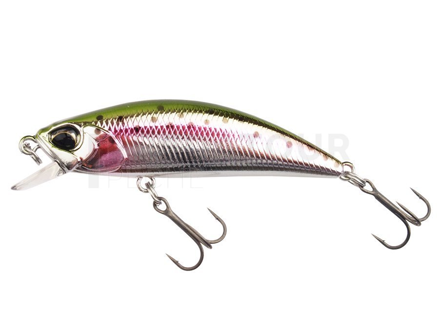 Leurre Truite Duo Spearhead Ryuki 60S Coulant Rainbow Trout 6,5 g 6cm  Hameçons triples - Leurres durs Truite (10983188)