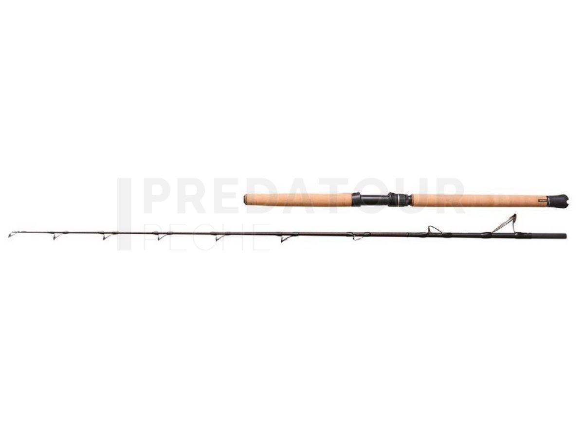 Savage Gear Fury SG6 Halibut Casting Rod - Cannes pêche en mer - Magasin de  peche PREDATEUR-PECHE