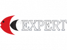 Expert