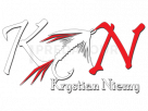 K Niemy