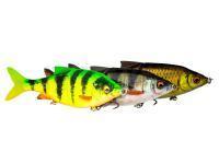 Savage Gear Leurres 3D Roach Shine Gilder PHP