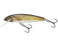 Leurre Salmo Minnow Floating 7 | 7cm 6g | 2 3/4" 3/16oz - Grayling