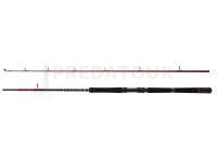 Canne Penn Squadron III Boat Spin 212 | 30-50lb | 2sec | 2.10m | 200-600g