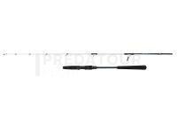 Canne Penn Battalion III Jigging Spinning 1.83m max 250g