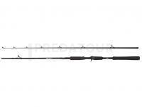 Canne Abu Garcia Beast Pike Jerkbait Casting 1.98m 40-90g