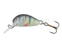 Leurre Dorado Alaska A-2,5 Floating P