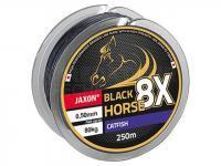 Jaxon Tresses Black Horse 8X Catfish