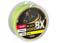 Jaxon Tresses Black Horse 8X Fluo