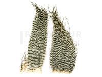 Hareline Dubbin Plumes Bugger Hackle Patches