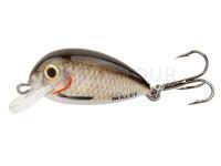 Leurre Hunter Bullet 2cm S - CR