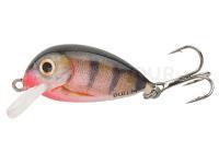 Leurre Hunter Bullet 2cm S - RP