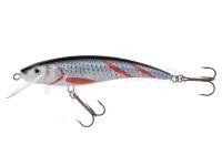 Leurre Jaxon HS Nidor 11cm F - KSN