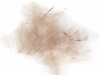 Hareline Dubbin Plumes Cul de Canard