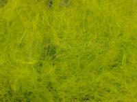 CDC Dubbing 0.5g - Dyed Golden Olive