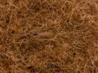 CDC Dubbing 0.5g - Dyed Pale Pardo