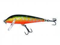 Leurre Rapala CountDown 5cm - Brook Trout