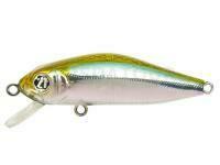 Leurre Pontoon21 Crackjack 58SP DR - Wakasagi HM