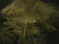 Cul de Canard #28 Blue Winged Olive