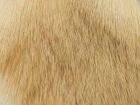 Wapsi Deer Body Hair - 026 Bleached