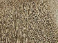 Wapsi Deer Body Hair - 227 Natural Brown