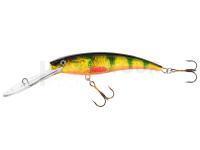 Leurre Jaxon Diver 11 DR OM
