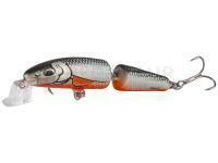 Salmo Leurre Durs Fanatic