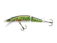 Jaxon Leurre Durs Holo Select Fat Pike 2-sec