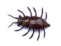 Leurres FishUp Maybug 1.3" #074 - Green Pumpkin Seed