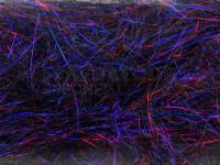 FMFly Peacock Hair - Black/Violet/Red