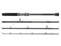 Canne Penn Regiment III Boat Travel 744 30-50lb 2.24m | Fast | Extra Heavy