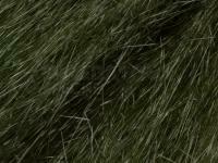 Future Fly Baitfish fibre - Dark Olive