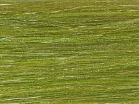 Future Fly Salmo Flash - Olive