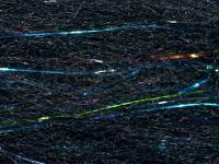 FutureFly Polar Flash - Black