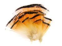 Wapsi Plumes Golden Pheasant Tippets