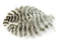 Grizzly Matuka Soft Hackle 232 - Natural