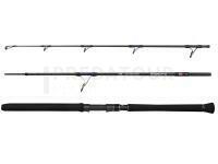 Canne Penn Overseas XT II Offshore Casting 2.30m 80-180g