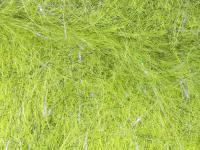 Hareline Dubbin Senyo's Laser Dub - #263 Olive