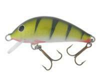 Leurre Gloog Hektor 40SRF - PN