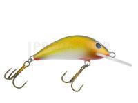 Leurre Gloog Hektor 50NF-RY