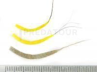 Hemingway's Mayfly Tube Bodies