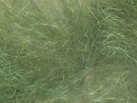 Hemingway`s Peacock Dubbing - 01 Green