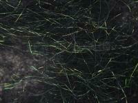 Hemingway`s Peacock Dubbing - 04 Black