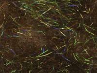 Hemingway`s Peacock Dubbing - 09 UV Bronze