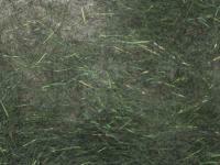 Hemingway`s Peacock Dubbing - 11 Dark Olive