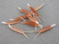 Hemingway`s Stone Fly Nymph Body - M Brown