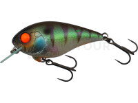 Illex MASTER CRANK 47 SR - Magic Green Perch