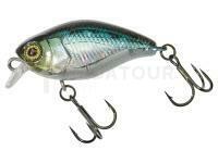 Leurre Illex Micro Chubby 30mm 2g - NF Ablette